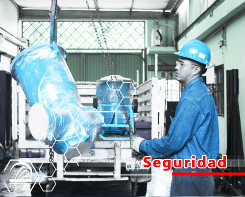 seguridad3
